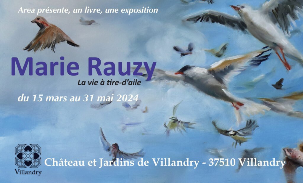 Affiche : La vie à tire-d'aile